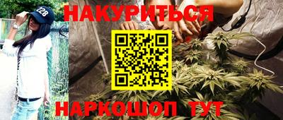 прущие грибы Нягань