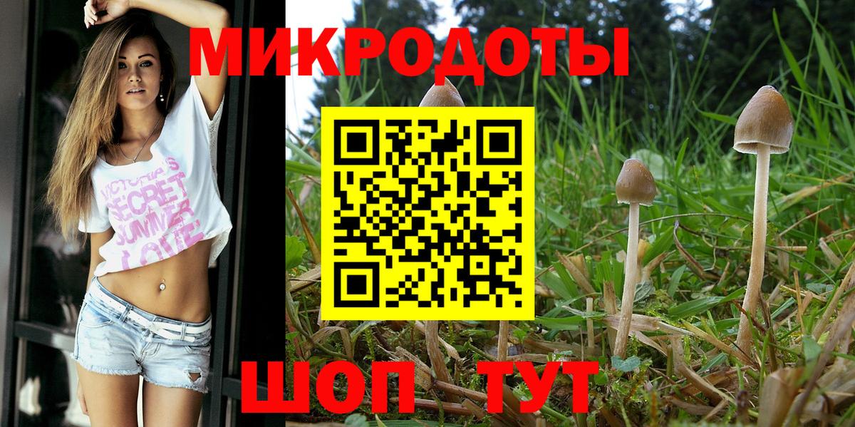 Галлюциногенные грибы мухоморы Боровичи