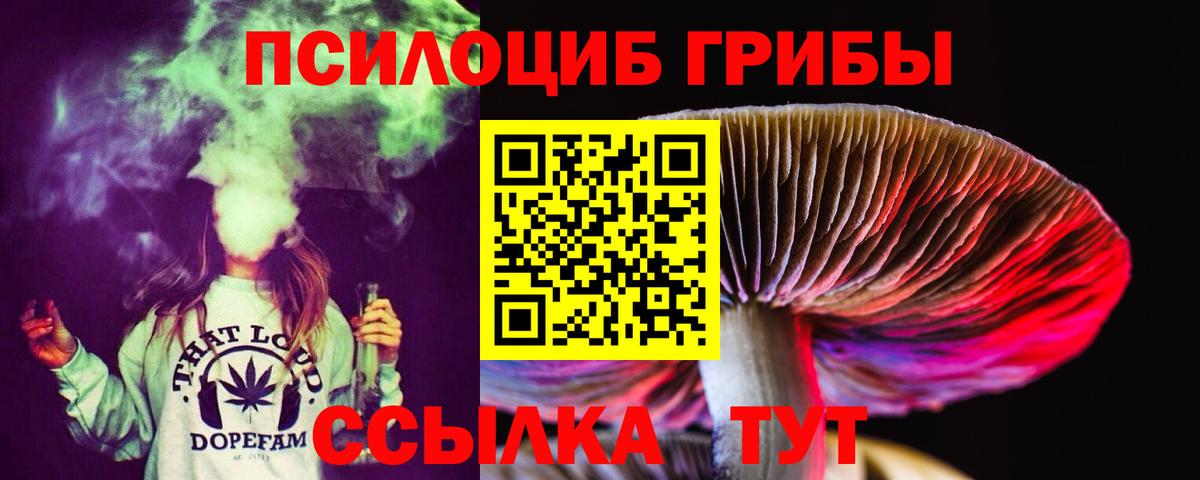 Галлюциногенные грибы прущие грибы  Вход с VPN  хочу наркоту  Боровичи 
